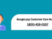 Google Pay Customer Care Number